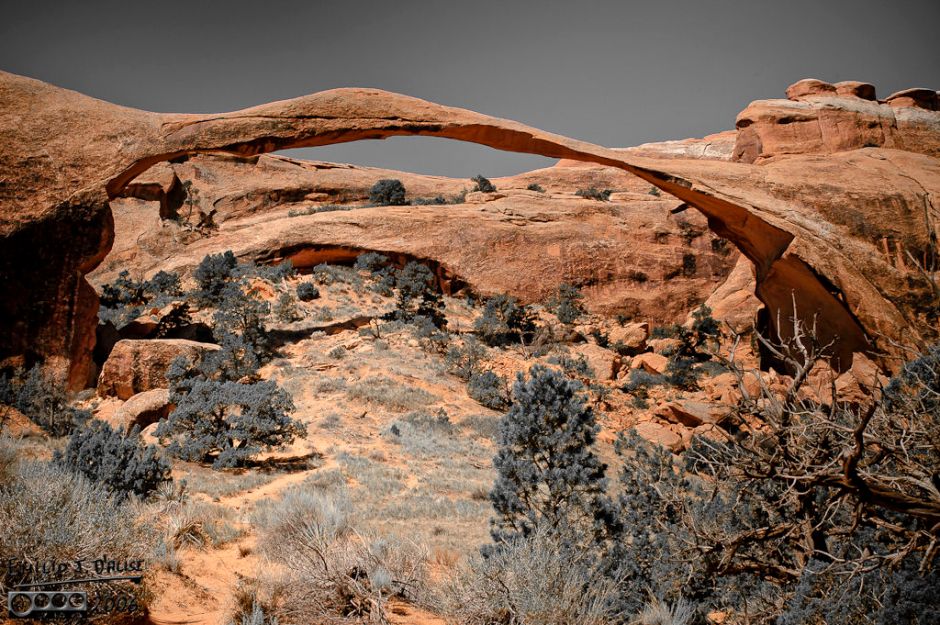 The famous Landscape Arch. It's one of the oldest geological features of the park, and they say it could go at any time. Of course, that means sometime between now and 500 years from now.
